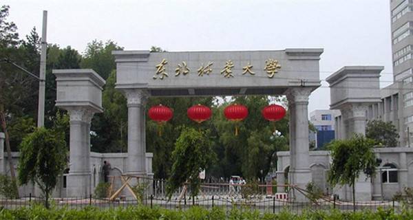 东北林业大学校门