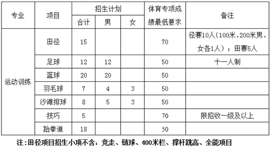 招生项目及计划