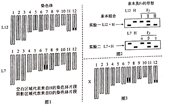 C:\Users\Administrator\AppData\Local\Temp\tianruoocr\截图_20213609073613.png