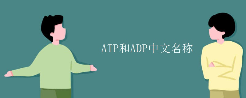 ATP和ADP中文名称