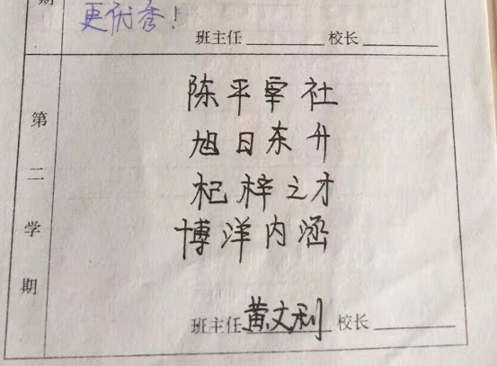 小学班主任用成语写评