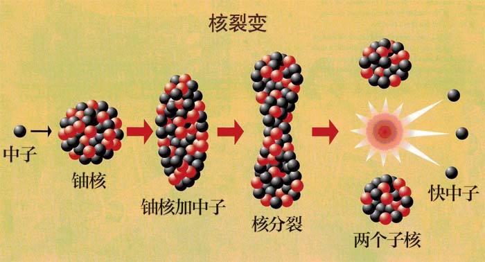 核化工与核燃料工程专业全国大学排名