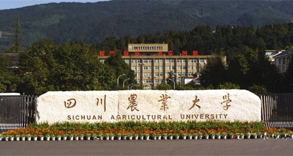 四川农业大学校门