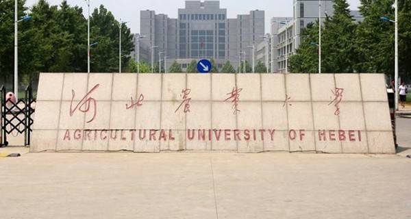 河北农业大学校门