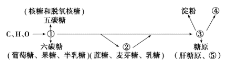 高中试卷网 http://sj.fjjy.org