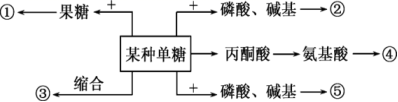 高中试卷网 http://sj.fjjy.org