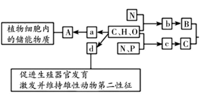 高中试卷网 http://sj.fjjy.org