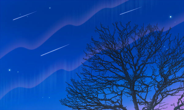 上海2022本科艺体类乙批次可填报考生专业统考成绩分布表(表演类) 上海2022本科艺体类乙批次可填报考生专业统考成绩分布表(表演类)