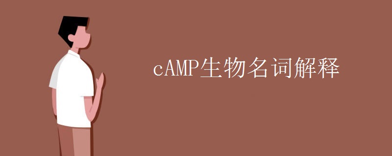 cAMP生物名词解释