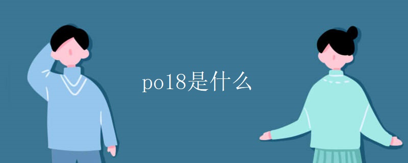 po18是什么