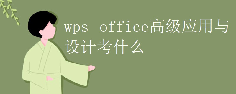 wps office高级应用与设计考什么