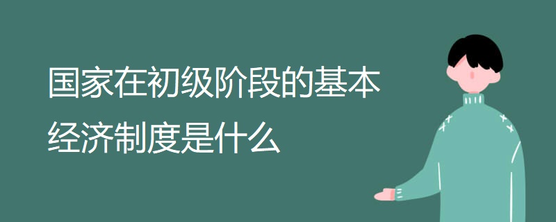 国家在初级阶段的基本经济制度是什么