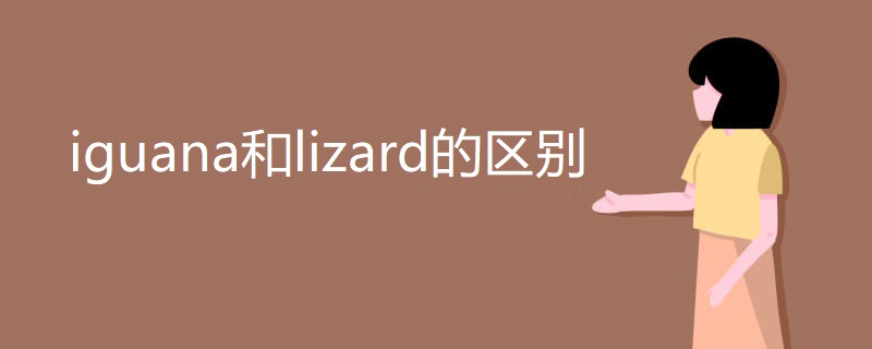 iguana和lizard的区别