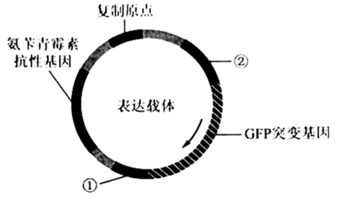 学科网(www.zxxk.com)--教育资源门户，提供试卷、教案、课件、论文、素材以及各类教学资源下载，还有大量而丰富的教学相关资讯！