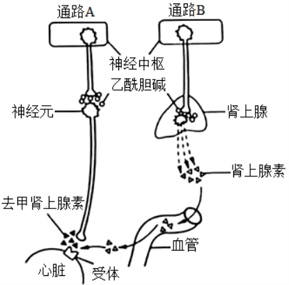 学科网(www.zxxk.com)--教育资源门户，提供试卷、教案、课件、论文、素材以及各类教学资源下载，还有大量而丰富的教学相关资讯！