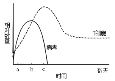 学科网(www.zxxk.com)--教育资源门户，提供试卷、教案、课件、论文、素材以及各类教学资源下载，还有大量而丰富的教学相关资讯！