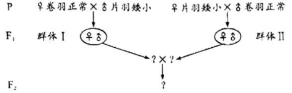 学科网(www.zxxk.com)--教育资源门户，提供试卷、教案、课件、论文、素材以及各类教学资源下载，还有大量而丰富的教学相关资讯！