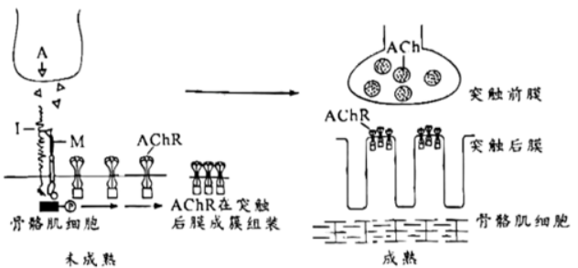 学科网(www.zxxk.com)--教育资源门户，提供试卷、教案、课件、论文、素材以及各类教学资源下载，还有大量而丰富的教学相关资讯！