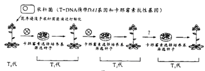 学科网(www.zxxk.com)--教育资源门户，提供试卷、教案、课件、论文、素材以及各类教学资源下载，还有大量而丰富的教学相关资讯！