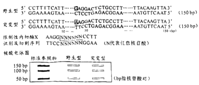 学科网(www.zxxk.com)--教育资源门户，提供试卷、教案、课件、论文、素材以及各类教学资源下载，还有大量而丰富的教学相关资讯！