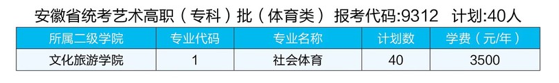 2023年安徽国际商务职业学院各省招生计划及招生人数 都招什么专业